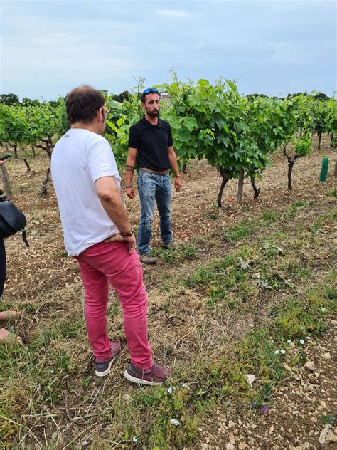 Vert l avenir on Twitter Nicolas Moulin viticulteur à Sainte Sévère