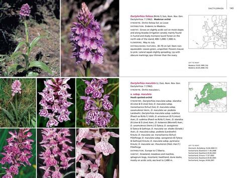 Field Guide To The Orchids Of Europe And The Mediterranean Nhbs Field