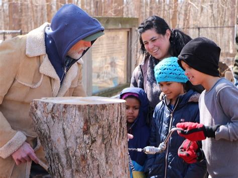 Maple Syrup Festival Marks Start Of Spring At Northbrook Nature Center