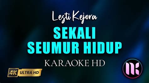 Sekali Seumur Hidup Karaoke Lesti Youtube