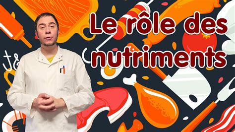 Le rôle des nutriments YouTube