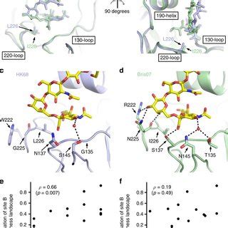 Structural Evolution Of Influenza Hemagglutinin Receptor Binding A B