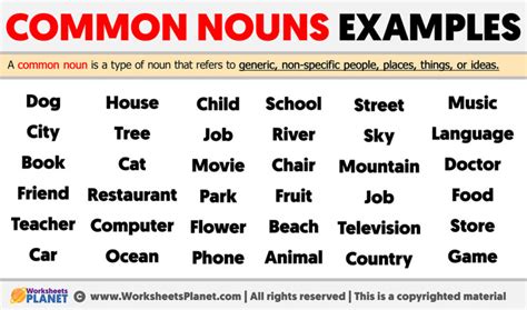 Common Nouns Examples