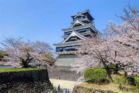 HD wallpaper: gray temple, japan, kumamoto, kumamoto castle, building ...