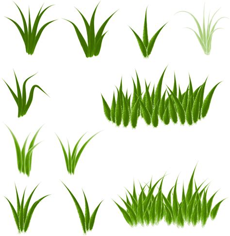 watercolor grass vector 8076354 Vector Art at Vecteezy