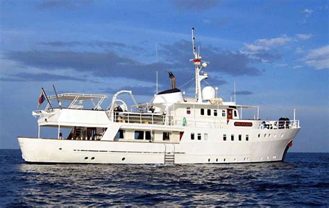 Pelagian - Indonesia Liveaboards - Dive Discovery Indonesia