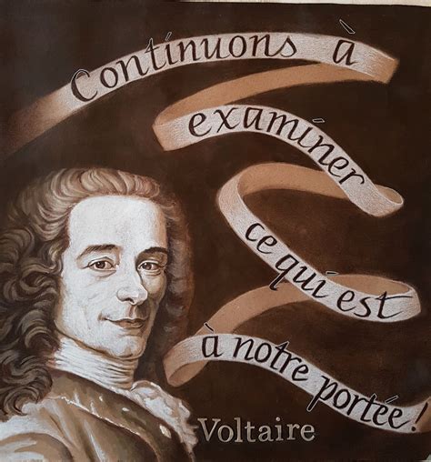 Voltaire Sign For The March For Science Brown And White Past Flickr