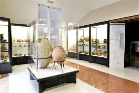 Il Museo Archeologico Nazionale Di Napoli Riapre Dopo Vent Anni La