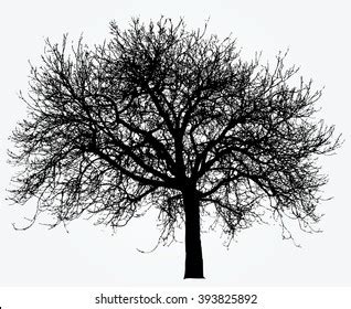 Vector Drawing Big Naked Winter Tree Stock Vector Royalty Free