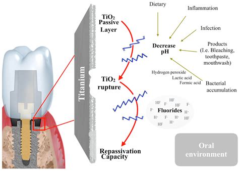 Metals Free Full Text A Comprehensive Review On The Corrosion