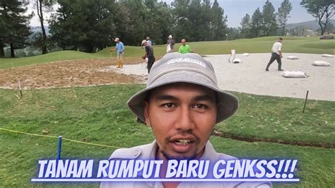 Tanam Rumput Baru Green Tempo Proyek Renovasi Green Shgc