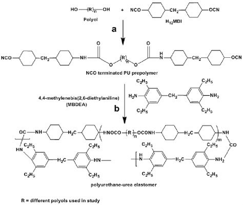 Reaction Scheme For The Preparation Of Puu Elastomers Pu Prepolymer