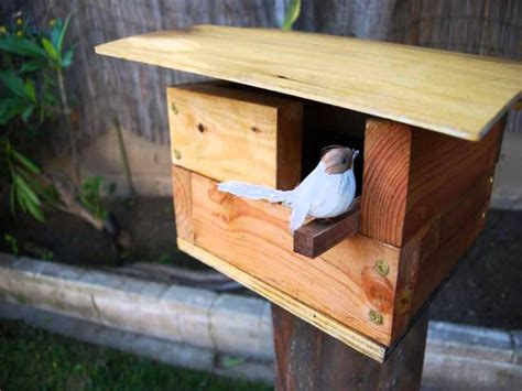 Related Post from Sophisticated Look of Finch Bird Houses