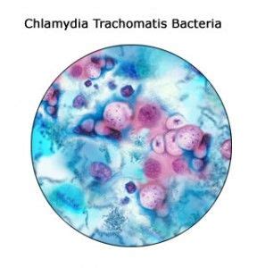 Chlamydia Trachomatis Gram Stain Morphology