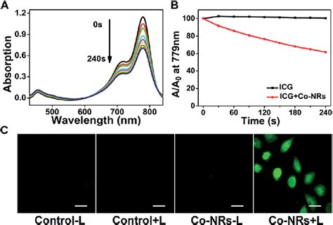 The Ros Generation Ability Of The Co Nrs A Time Dependent Uv Vis