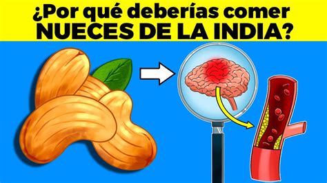 10 Increíbles Beneficios De La Nuez De La India Que Debes Conocer Ahora