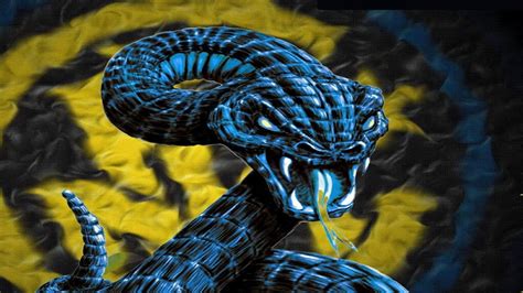 Blue Snake Wallpapers Top Free Blue Snake Backgrounds Wallpaperaccess