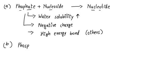 SOLVED: Phosphate groups are integral parts of nucleotides, with the ...