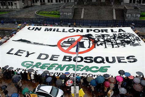 Fundaci N Greenpeace Argentina La Historia De La Ley De Bosques Un