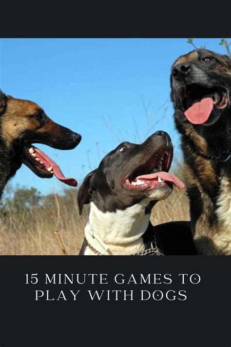 10 Things You Should Never, Ever Do to Your Dog Minute Game, Dog ...