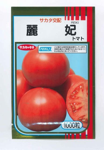 送料無料 トマト大玉トマト 麗妃 1000粒 株サカタのタネ野菜種大玉トマト・桃太郎系・中玉トマト・ミニトマトグリーンロフトネモト直営