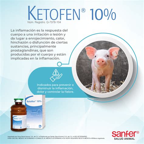 Sanfer - El bienestar de tus #porcinos es clave para el éxito de tu