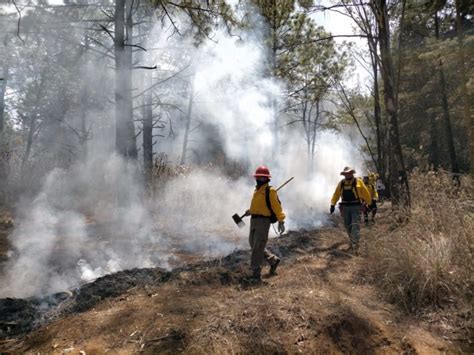 Alto Al Fuego Revista Bitácora