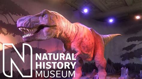 Awesome T Rex Dinosaur Animatronic At The Natural History Museum London Youtube