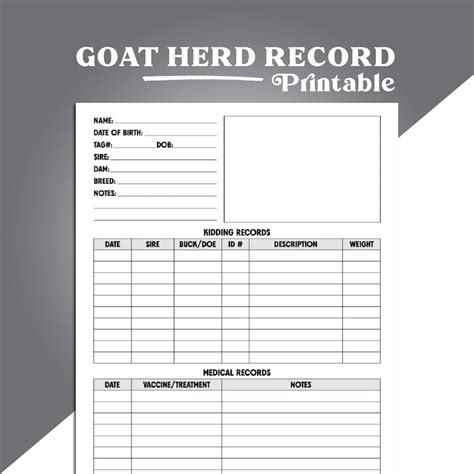 Goat Herd Record Sheet Goat Herd Record Keeping Farm Management