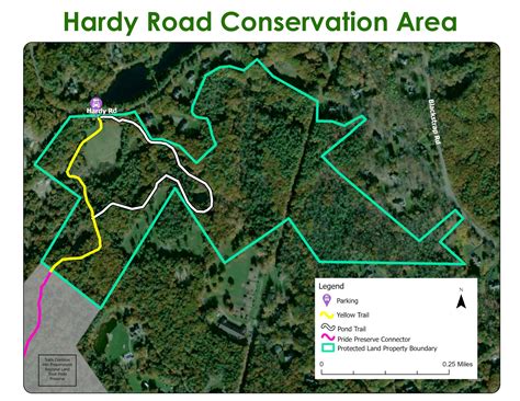 Hardy Road Conservation Area — Falmouth Land Trust
