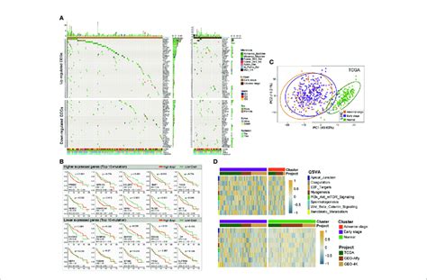 Identification Of Differentially Expressed Hcc Related Genes And