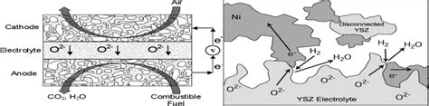 Principle Of Operation Of A Sofc 1 2 Fig2 Schematic Of Three Phase Download Scientific