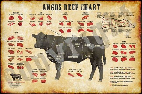 Angus Beef Chart Cuts Diagram Western Style Etsy