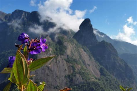 Conheça o Parque Nacional da Serra dos Órgãos Saindo da Rotina