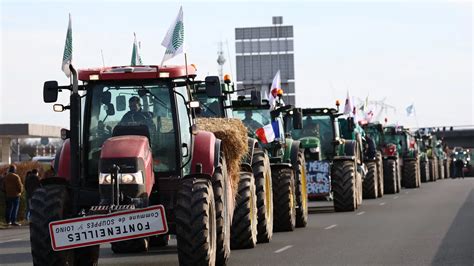 Perch Gli Agricoltori Protestano Tutto Quello Che Devi Sapere