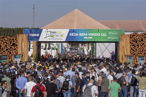 Rede ILPF E Embrapa Divulgam Sistemas Integrados De ILPF Na Expoforest