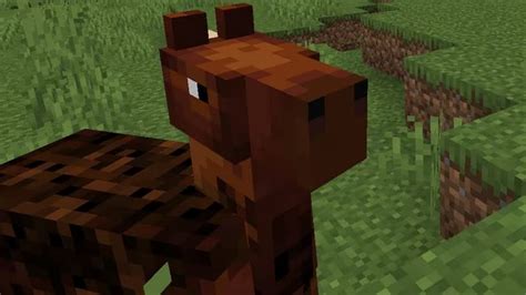 What Do Horses Eat In Minecraft Answered Pro Game Guides