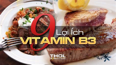 Vitamin B3 Là Gì Công Dụng Và Lợi ích Của Nó Trong Thể Hình Thol