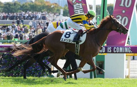 【東京5r新馬】スタート前に大暴れのエメリヨンがv 福永「ゲート裏は何かが嫌だったんだろうね」― スポニチ Sponichi Annex ギャンブル