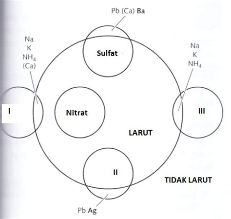 Modul Rumus Soal Identifikasi Kation Anion Wardaya College