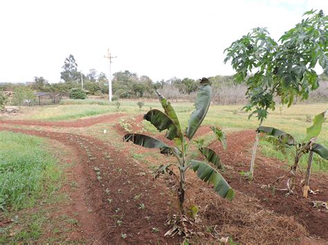 Escola De Assentamento Vem Se Consolidando Como Escola Agroecológica Do