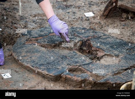 Archaeologists Have Uncovered A 3000 Year Old Bronze Age Wheel At Must