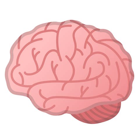 Brain Icon Anatomy at Netgraceblog Blog