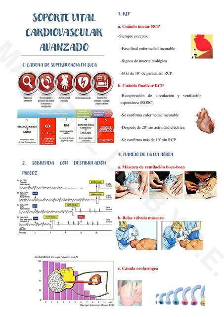 Soporte Vital Cardiovascular Avanzado Briggitte Yamilé Suarez Esteban