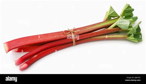 Fresh rhubarb stem and leaves over white background Stock Photo - Alamy