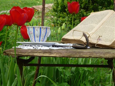 Fotos gratis mesa césped libro leer antiguo hoja flor vaso