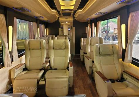 Medium Luxury VIP 9 Seat Erin Trans