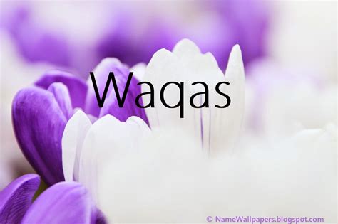 Waqas Name Wallpapers Waqas Name Wallpaper Urdu Name Meaning Name