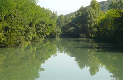 Contratti Di Fiume Insediata A Pescara La Cabina Di Regia Regionale