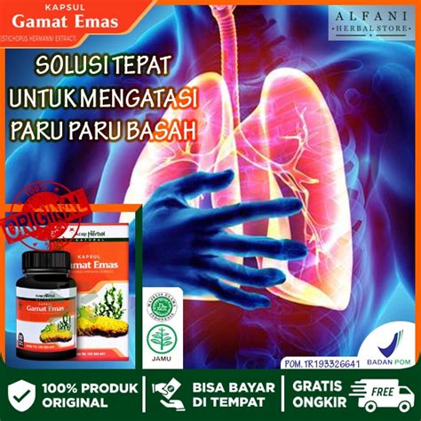 Jual Obat Herbal Untuk Paru Paru Sesak Nafas Pneumonia Asma Batuk